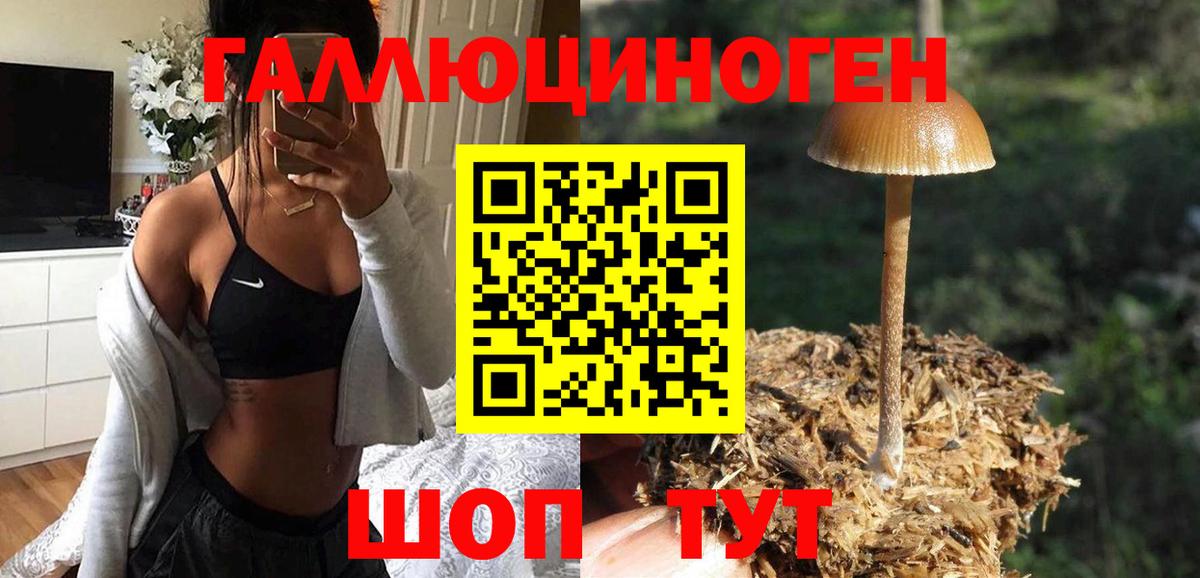 Галлюциногенные грибы Magic Shrooms  Галлюциногенные грибы мухоморы  Котлас  Вход с VPN 