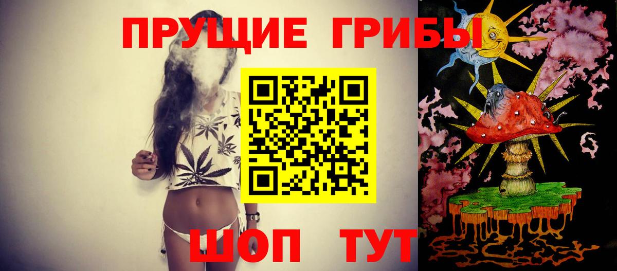 Галлюциногенные грибы Magic Shrooms Котлас